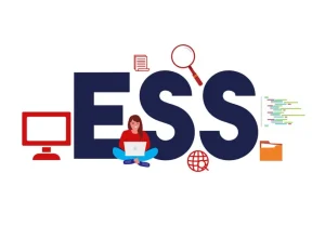 Measuring The Success Of Ess Implementation: